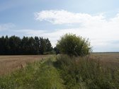 Šilutės rajone, Lankupių kaime, Žolynų g. - nuotraukos Nr. 89