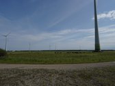 Šilutės rajone, Lankupių kaime, Žolynų g. - nuotraukos Nr. 90