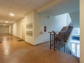 Palangoje miesto centrinėje dalyje, Ganyklų g - nuotraukos Nr. 27