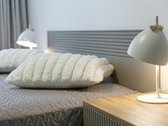 Išnuomojamas kapitaliai suremontuotas ir - nuotraukos Nr. 13