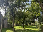 Parduodama sodyba Pasvalio r., Deglėnų kaimo - nuotraukos Nr. 7