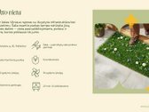 Projektinis buto numeris: Prs B1-16 - nuotraukos Nr. 9