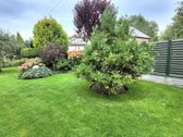 Parduodamas Erdvus Ir Prižiūrėtas Mūrinis - nuotraukos Nr. 30