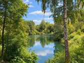 Vienas didžiausių šio namo privalumų – - nuotraukos Nr. 9