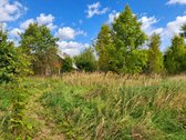Parduodama Sodyba 15 Arų Sklype Palaukių - nuotraukos Nr. 23