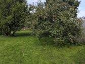 Parduodamas 2 K. Butas Su Sodu Ir Statiniais - nuotraukos Nr. 14