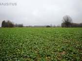 Parduodami Du 31,7 Ha. Bendro Ploto Sklypai, - nuotraukos Nr. 19
