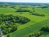 25,9855 Ha Žemės Ir Sodyba Už 135 000 €– - nuotraukos Nr. 3