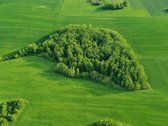 25,9855 Ha Žemės Ir Sodyba Už 135 000 €– - nuotraukos Nr. 5
