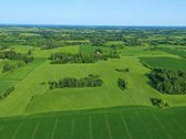 25,9855 Ha Žemės Ir Sodyba Už 135 000 €– - nuotraukos Nr. 6