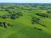 25,9855 Ha Žemės Ir Sodyba Už 135 000 €– - nuotraukos Nr. 7