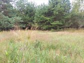 Parduodamas žemės ūkio paskirties sklypas - nuotraukos Nr. 4