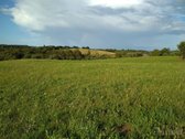 200 arų sklypas Eitminiškėse – gamtos - nuotraukos Nr. 5