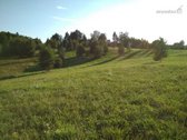 200 arų sklypas Eitminiškėse – gamtos - nuotraukos Nr. 4