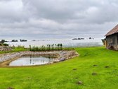Parduodama Išskirtinė Sodyba–vienkiemis Su - nuotraukos Nr. 23