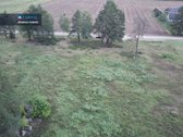 Parduodamas 4,42 Ha Sklypų Kompleksas Prie - nuotraukos Nr. 4