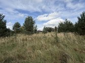 Privatus Sklypas Gamtos Apsuptyje  26 A - nuotraukos Nr. 2