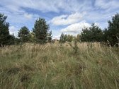 Privatus Sklypas Gamtos Apsuptyje  26 A - nuotraukos Nr. 4