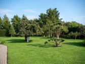 Parduodamas namas Šilalės mieste. - nuotraukos Nr. 8