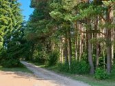 Išnuomojamas jaukus ir modernus 2 kambarių - nuotraukos Nr. 13