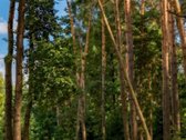 Nuomuojamas 2 Nepereinamų Kambarių Butas - nuotraukos Nr. 17