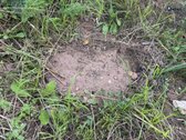 Parduodamas 13,85 A Žemės Sklypas Šalia Bubių - nuotraukos Nr. 6