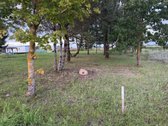 Parduodamas 13,85 A Žemės Sklypas Šalia Bubių - nuotraukos Nr. 7