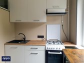 Nuomojamas Renovuotas 3 Kambarių Butas - nuotraukos Nr. 6