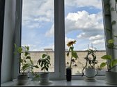 Kauno m. sav., Kauno m., Vilijampolė - nuotraukos Nr. 3