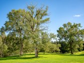 Parduodama Išskirtinė 13,8 Ha Sodyba - nuotraukos Nr. 49