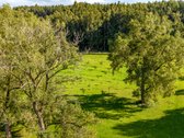 Parduodama Išskirtinė 13,8 Ha Sodyba - nuotraukos Nr. 56