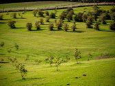 Parduodama Išskirtinė 13,8 Ha Sodyba - nuotraukos Nr. 63