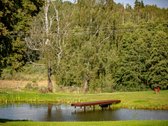Parduodama Išskirtinė 13,8 Ha Sodyba - nuotraukos Nr. 64