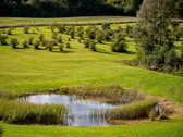 Parduodama Išskirtinė 13,8 Ha Sodyba - nuotraukos Nr. 65