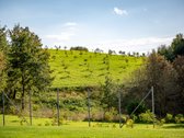 Parduodama Išskirtinė 13,8 Ha Sodyba - nuotraukos Nr. 66