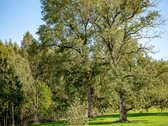 Parduodama Išskirtinė 13,8 Ha Sodyba - nuotraukos Nr. 68