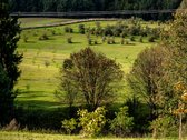 Parduodama Išskirtinė 13,8 Ha Sodyba - nuotraukos Nr. 73