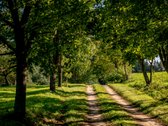 Parduodama Išskirtinė 13,8 Ha Sodyba - nuotraukos Nr. 74