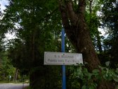 Jaukus ir prižiūrėtas sodas šalia Dvarčionių - nuotraukos Nr. 31
