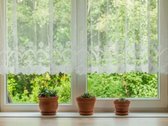 Parduodamas Namas Gamtos Apsuptyje Prie Miško - nuotraukos Nr. 15