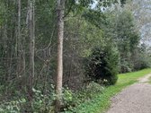 Parduodamas miško ūkio sklypas Vilniaus r. - nuotraukos Nr. 4