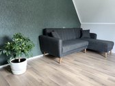 Nuomojama 2 kambarių (butas) namo dalis su - nuotraukos Nr. 18