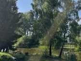 Parduodamas sodas prie tvenkinio. - nuotraukos Nr. 8