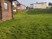 Parduodamas sodas prie tvenkinio. - nuotraukos Nr. 11