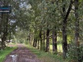 Sodyba Čekiškėje – Vos 650 M Iki Dubysos  22 - nuotraukos Nr. 16