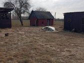 Švenčionių r. sav., Rakauskų k. - nuotraukos Nr. 3