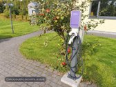 Parduodamas kokybiškai statytas vieno aukšto - nuotraukos Nr. 37