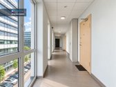 Nuomojamas stilingas ir jaukus Butas su - nuotraukos Nr. 20