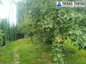 Parduodamas vaizdingas sodo sklypas 6,5 aro S - nuotraukos Nr. 4