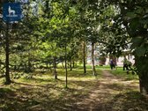 Nuomojamas jaukus ir tvarkingas 3 kambarių - nuotraukos Nr. 19